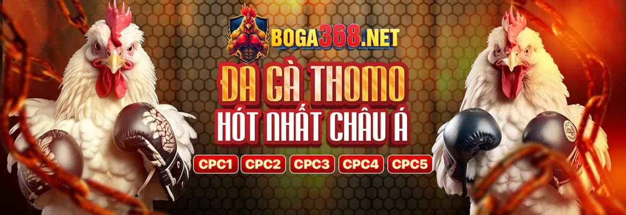 Xem đá gà trực tiếp chất lượng cao tại CT88