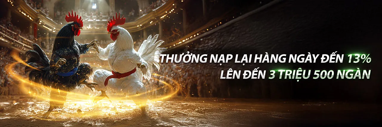 Banner khuyến mãi CT88